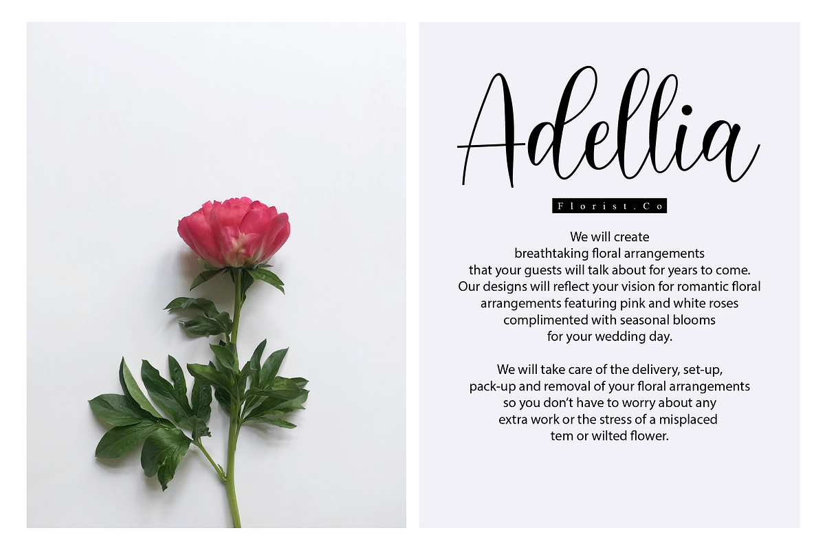 Delara Script preview 6