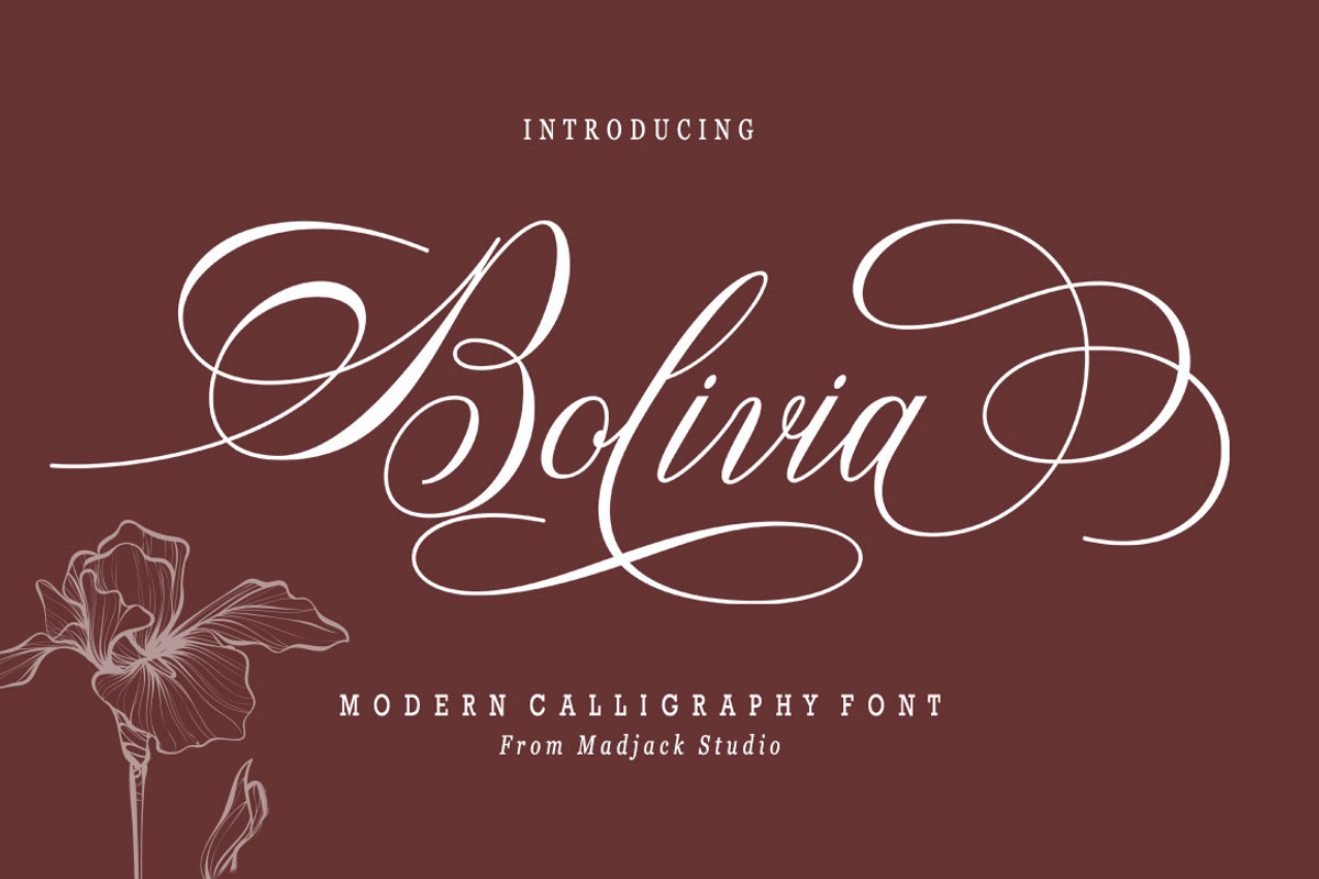 Bolivia Script, a Script Font by Madjack.font (Photo 1 of 9)