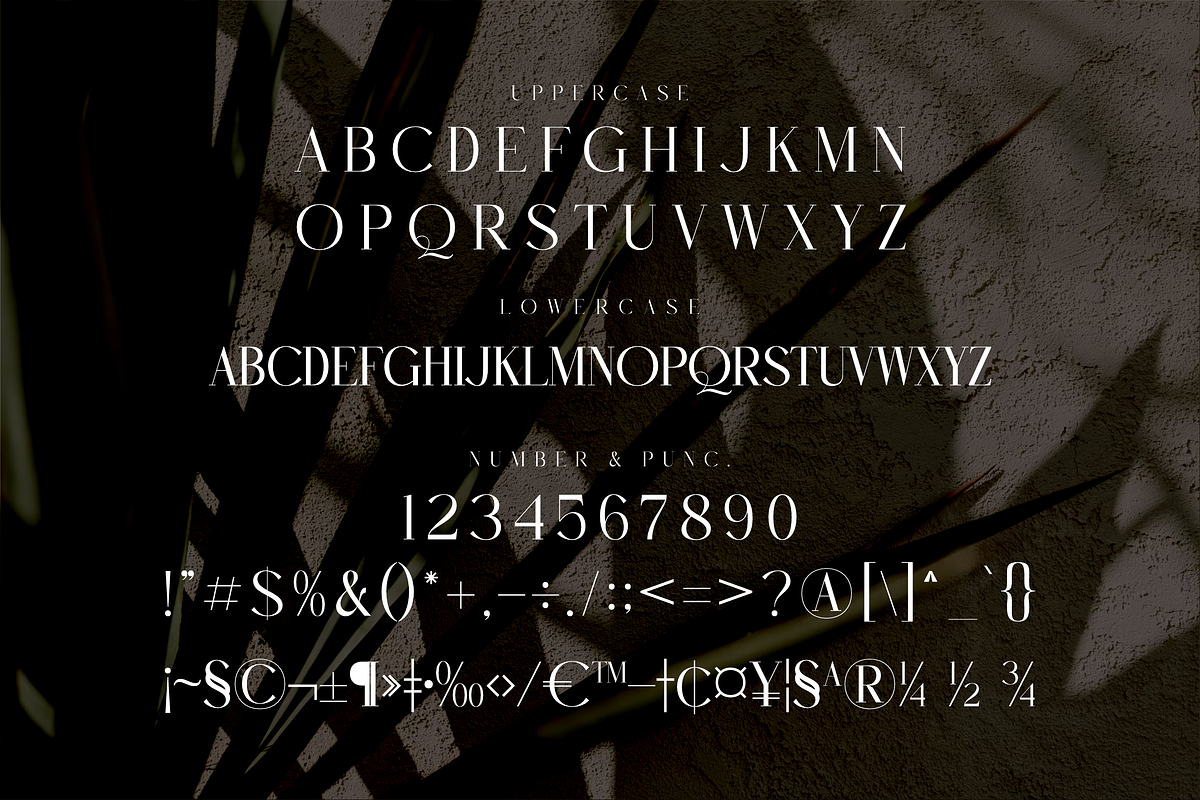 Rughato Wacner A Modern Serif Font, a Serif Font by Storytype Studio (Photo 12 of 15)