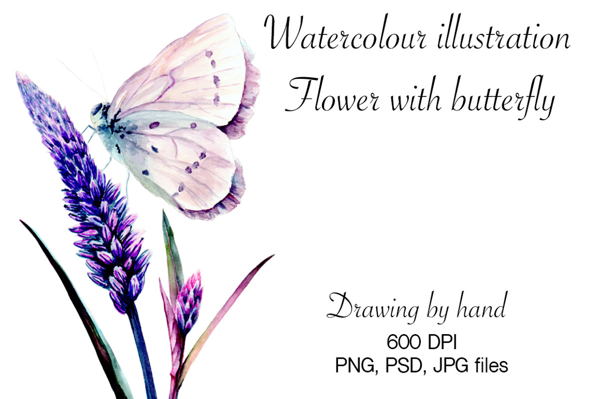 Watercolour butterfly, a Decorative Illustration by Verlena's Corner