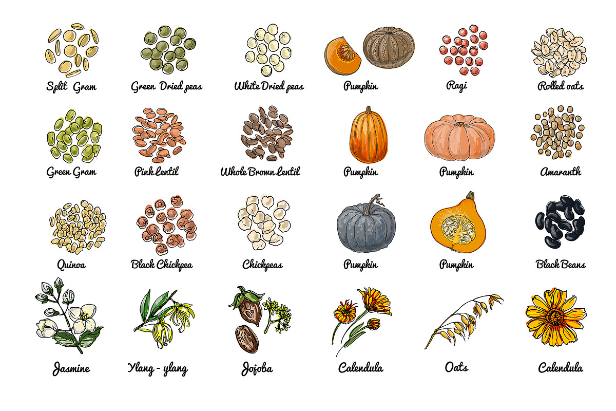 Vector food icons. Spices, nuts, a Food Illustration by irina.vaneeva (Photo 4 of 5)