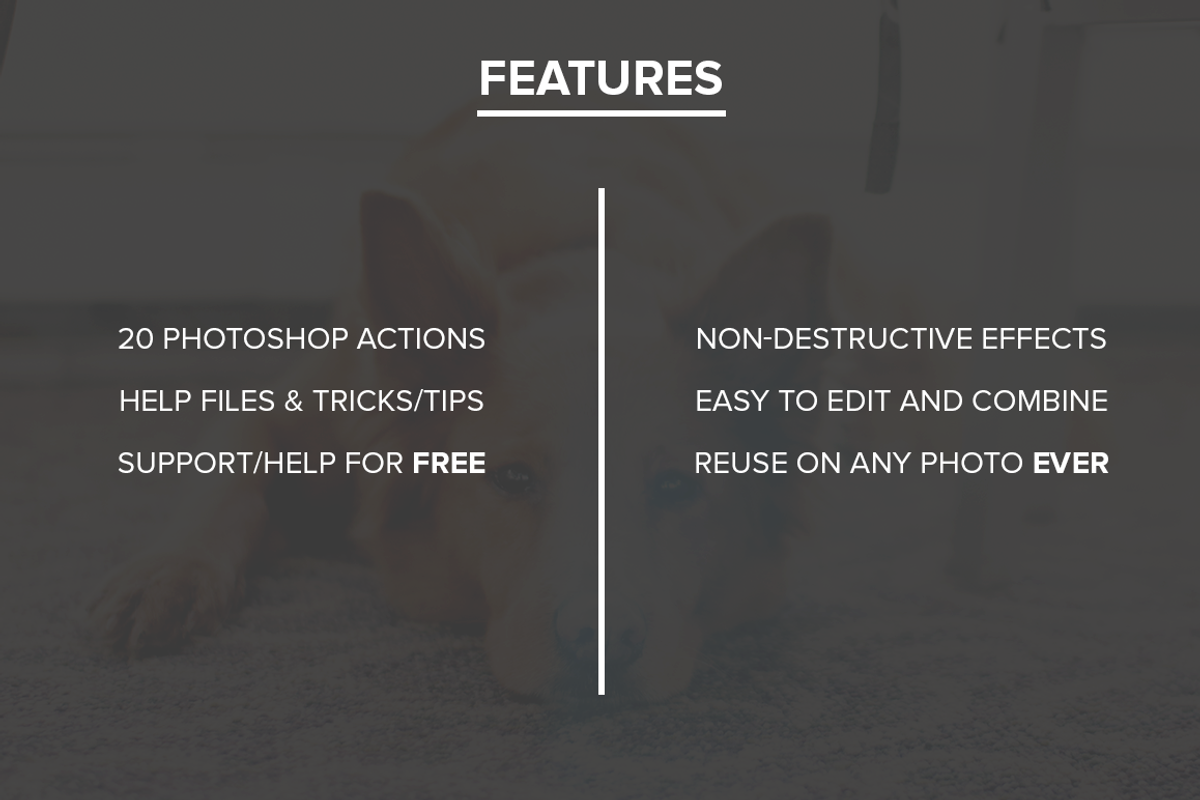 FilterGrade Light Leaks Series II preview 5