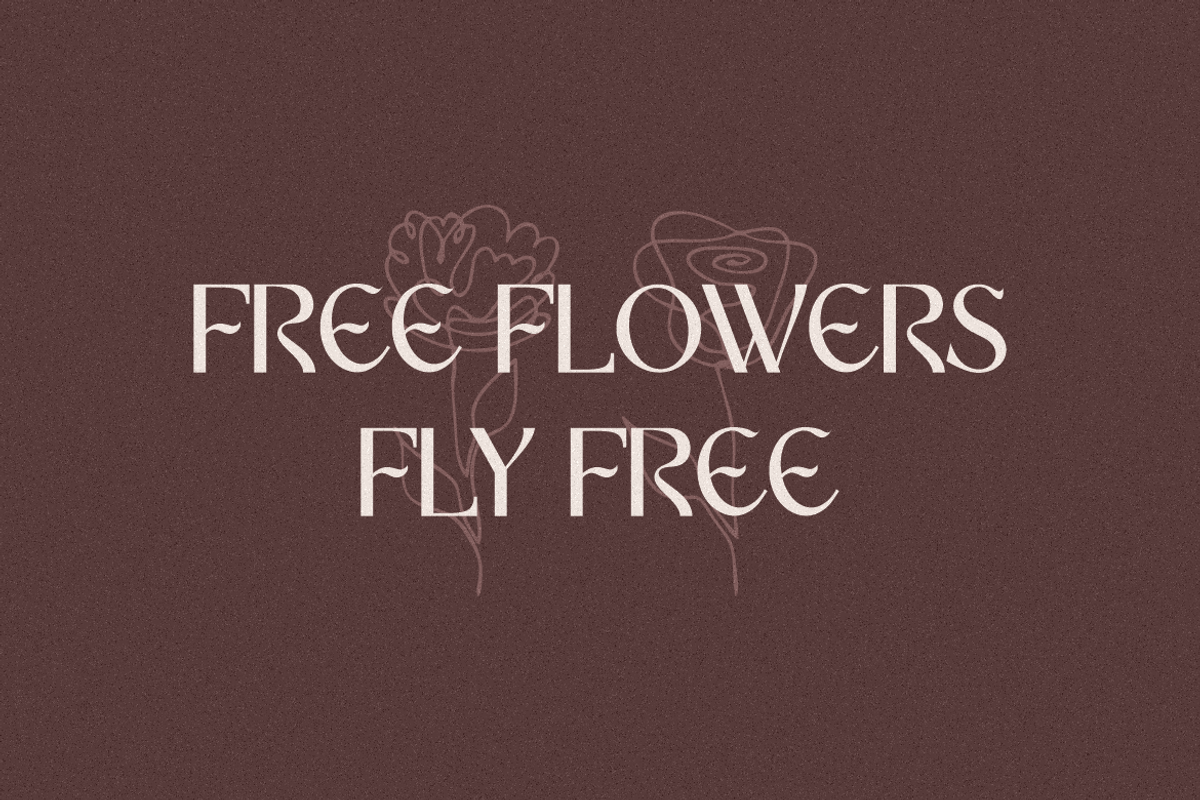 Blancat Mouris Serif, a Serif Font by Typegoals Studio (Photo 5 of 9)