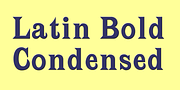 Latin Bold, a Serif Font by Wooden Type Fonts (Thumbnail 3 of 4)