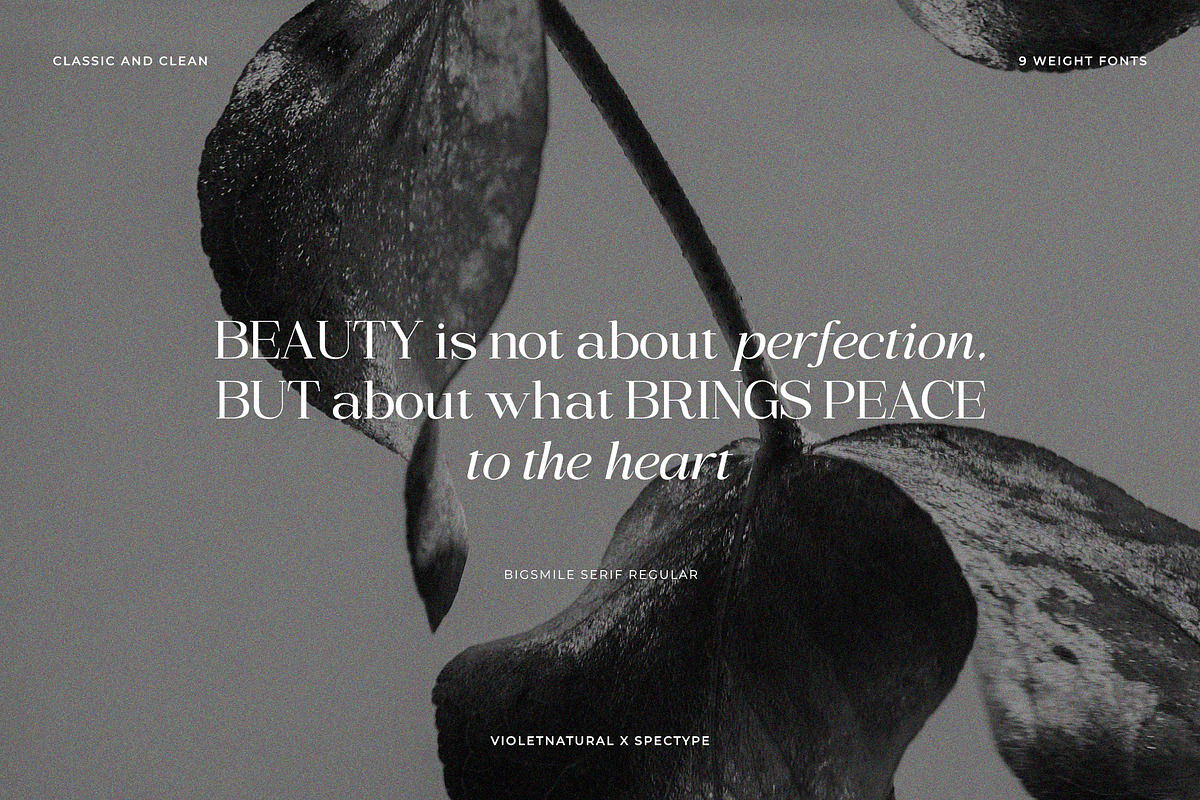 Bigsmile Serif Family, a Serif Font by Violet Natural (Photo 11 of 13)