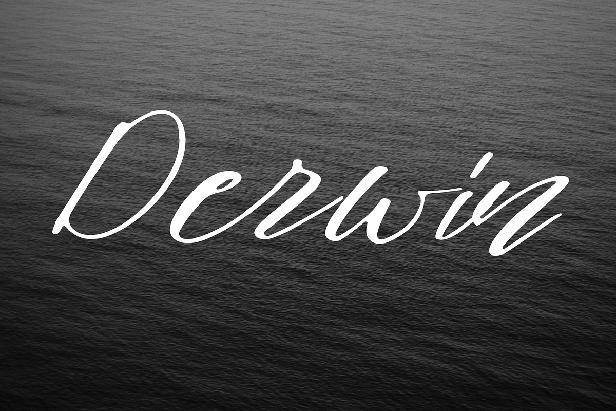 Stuard font preview 3
