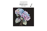 Hydrangea Clipart, Floral Clipart,, an Object Graphic by EllyandLima (Thumbnail 2 of 9)