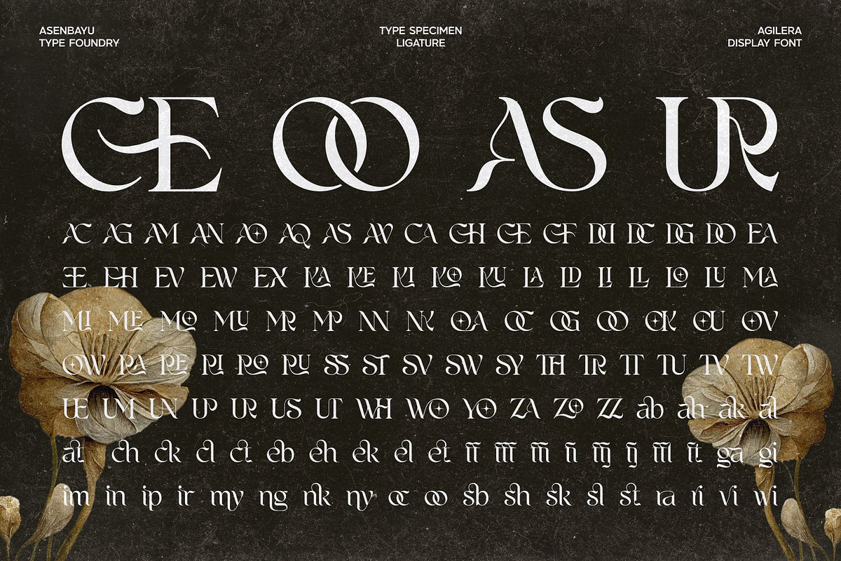 Agilera - Stylish Ligature Font, a Serif Font by Asenbayu (Photo 10 of 15)