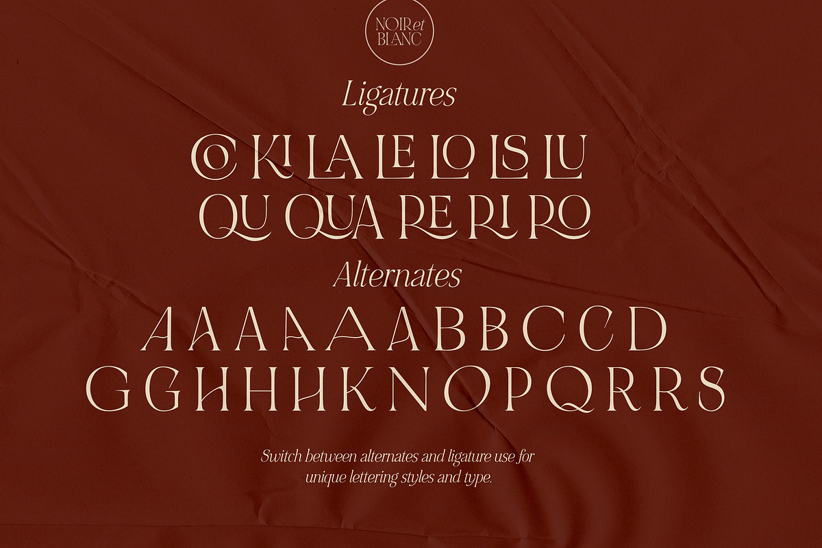 NOIR et BLANC Stylish Serif, a Serif Font by Nicky Laatz (Photo 40 of 41)