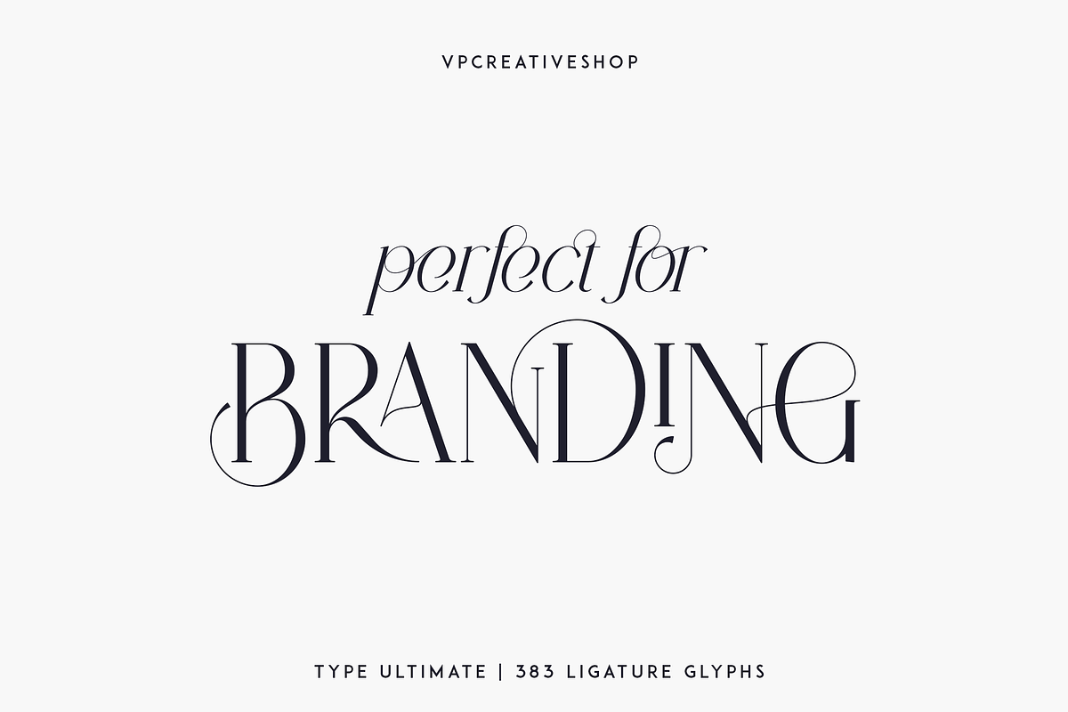 Type Ultimate - serif logo font, a Serif Font by VP Fonts (Photo 6 of 24)
