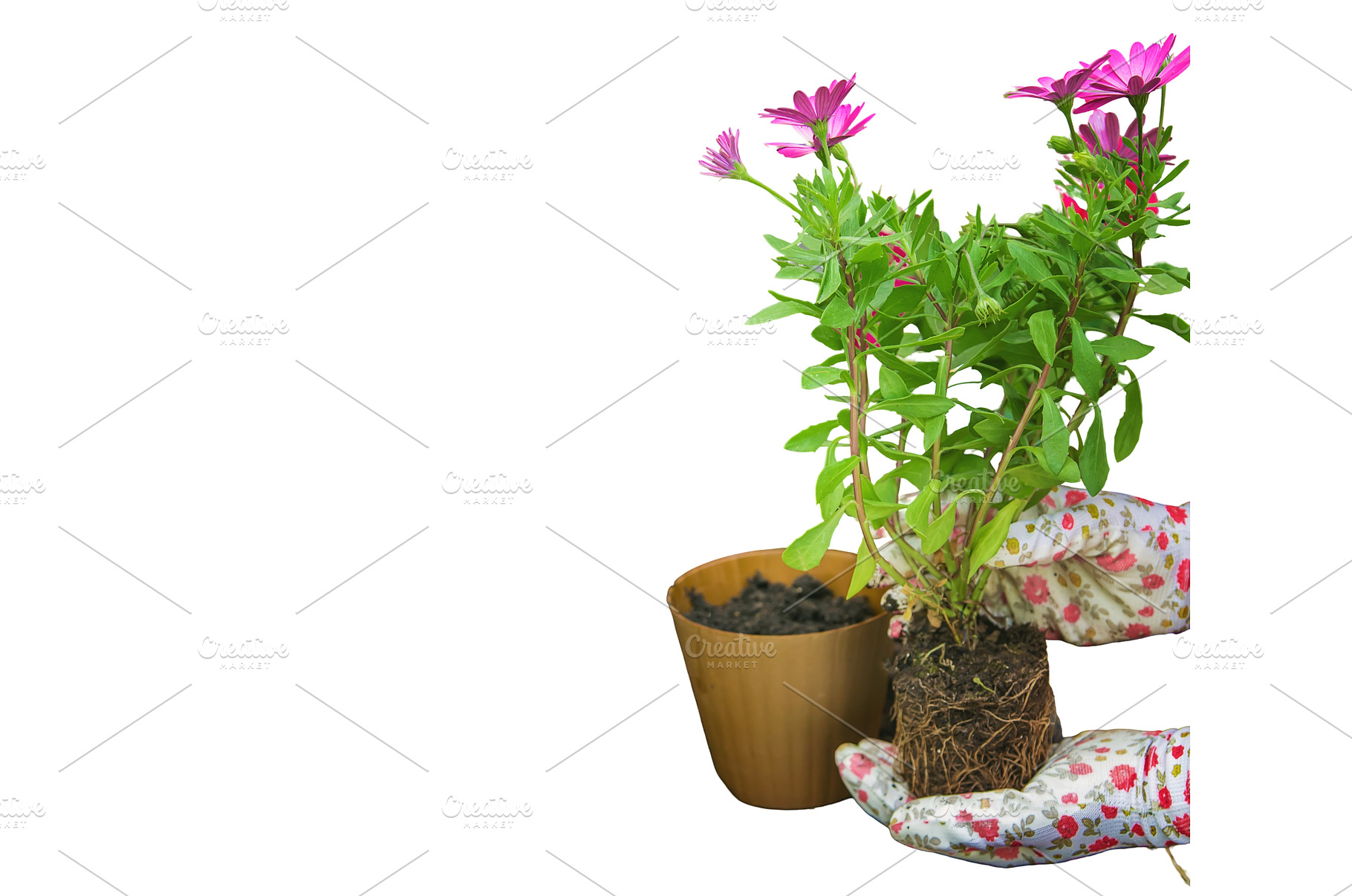 A little girl is planting flowers, a Nature Photo by yanadjana