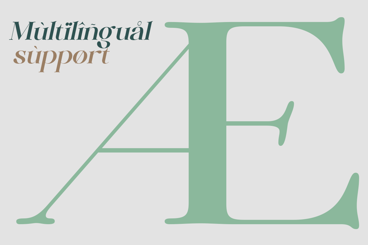 Huffleheim - Elegant Modern Serif, a Serif Font by Qweera Studio (Photo 12 of 12)