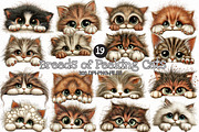 Breeds of Peeking Cats New Clipart, a Seasonal Illustration by Designworld (Thumbnail 1 of 5)