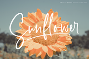 Crystal Dust - Handwritten Font, a Script Font by Megi Satyo Widodo (Thumbnail 11 of 18)