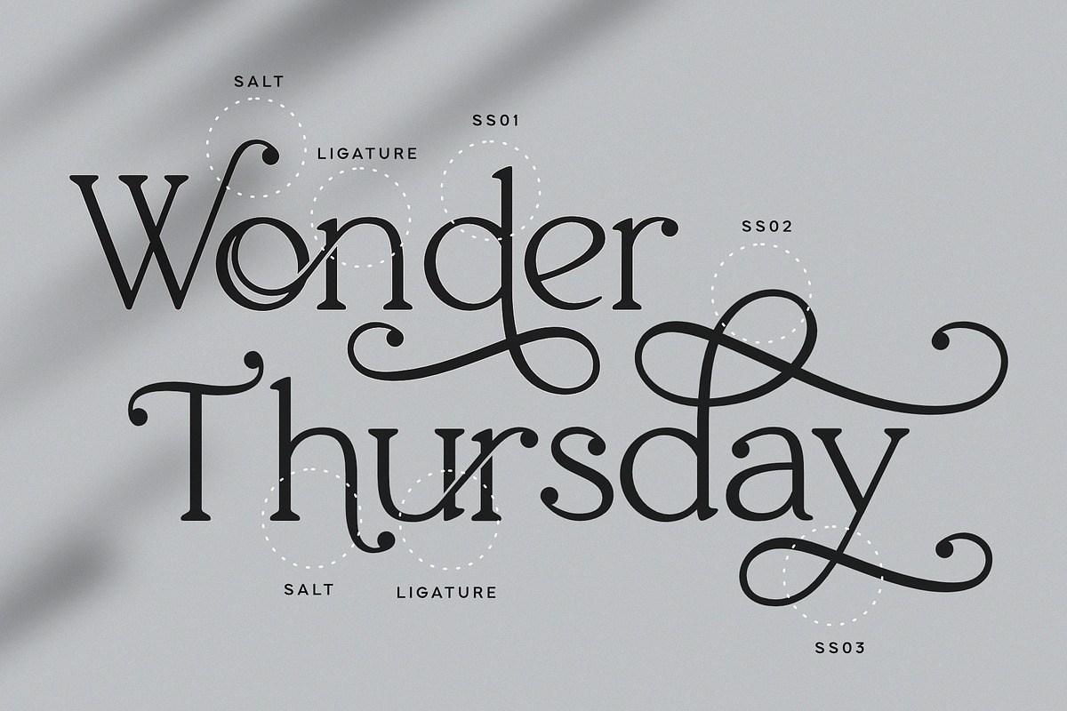 Thaknus, a Serif Font by Sealoung (Photo 4 of 19)