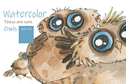 Сute owls. Seamless patterns., a Pattern Graphic by Novikova Lida (Thumbnail 1 of 9)