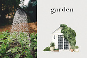 Watercolor Garden vol1, a Seasonal Illustration by LiChu Art (Thumbnail 11 of 12)