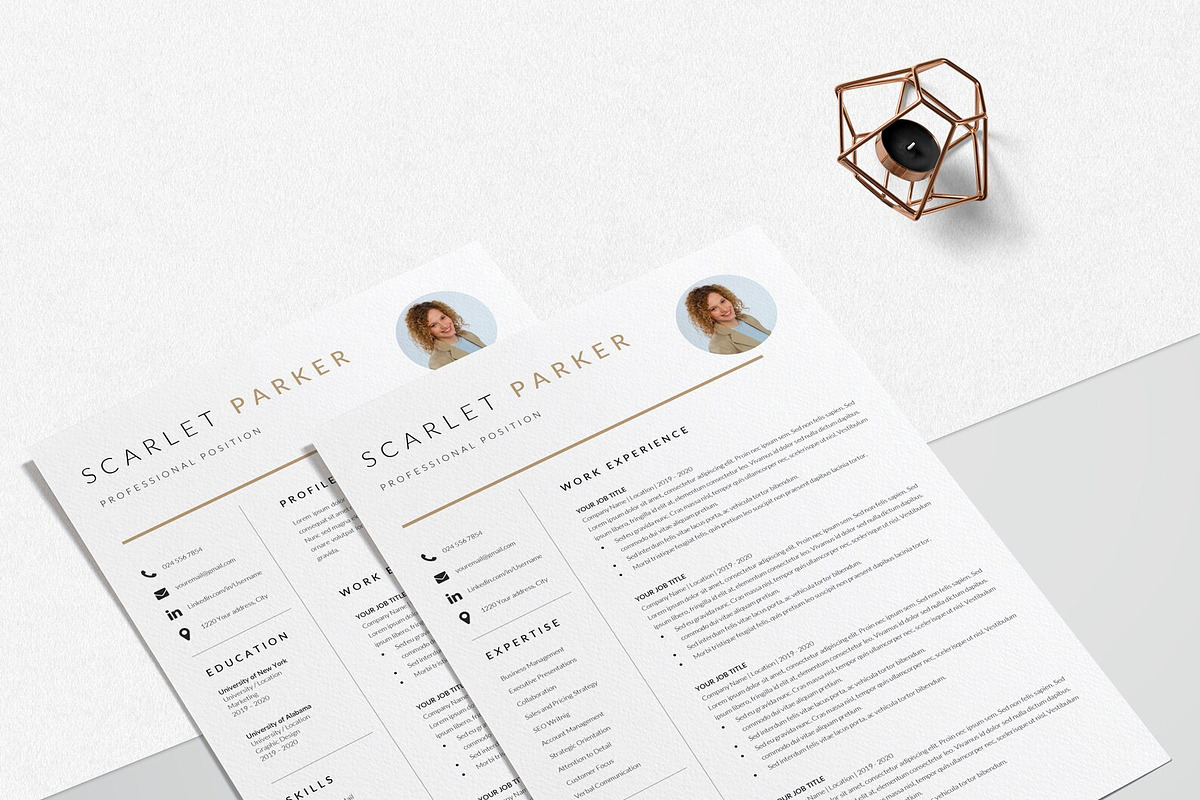 Resume Template Creative, a Resume Template by LucaTheme (Photo 6 of 10)