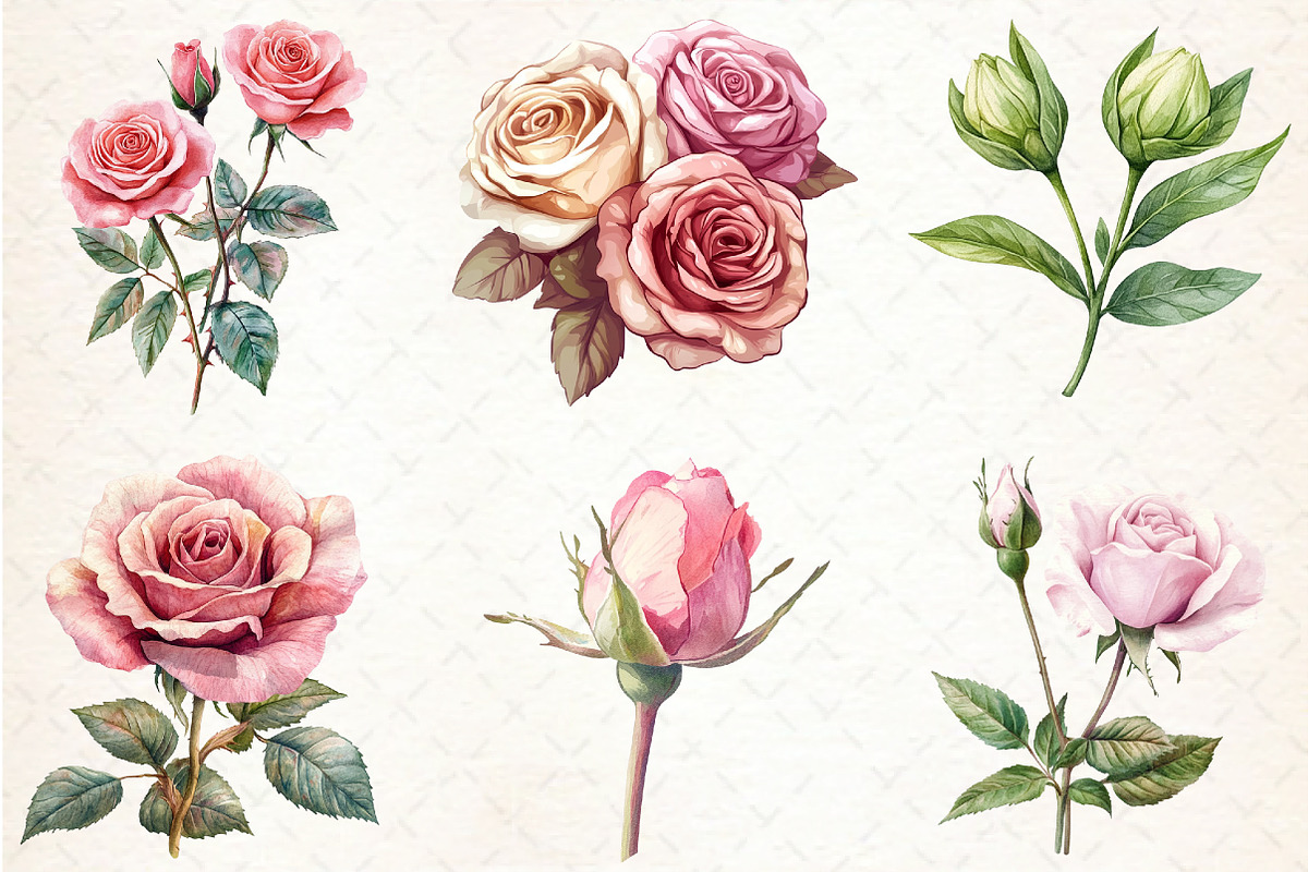 Pink Roses watercolor clipart, an Illustration by Libby Wishes (Photo 4 of 4)