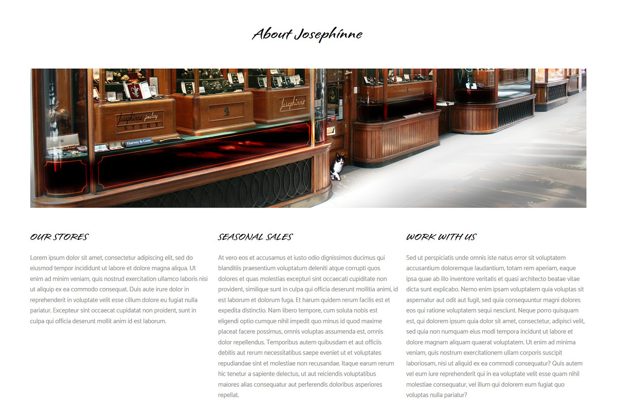Josephynne Jewelry - Shopify Theme, a Shopify Template by inSTUDIO43 (Photo 2 of 10)