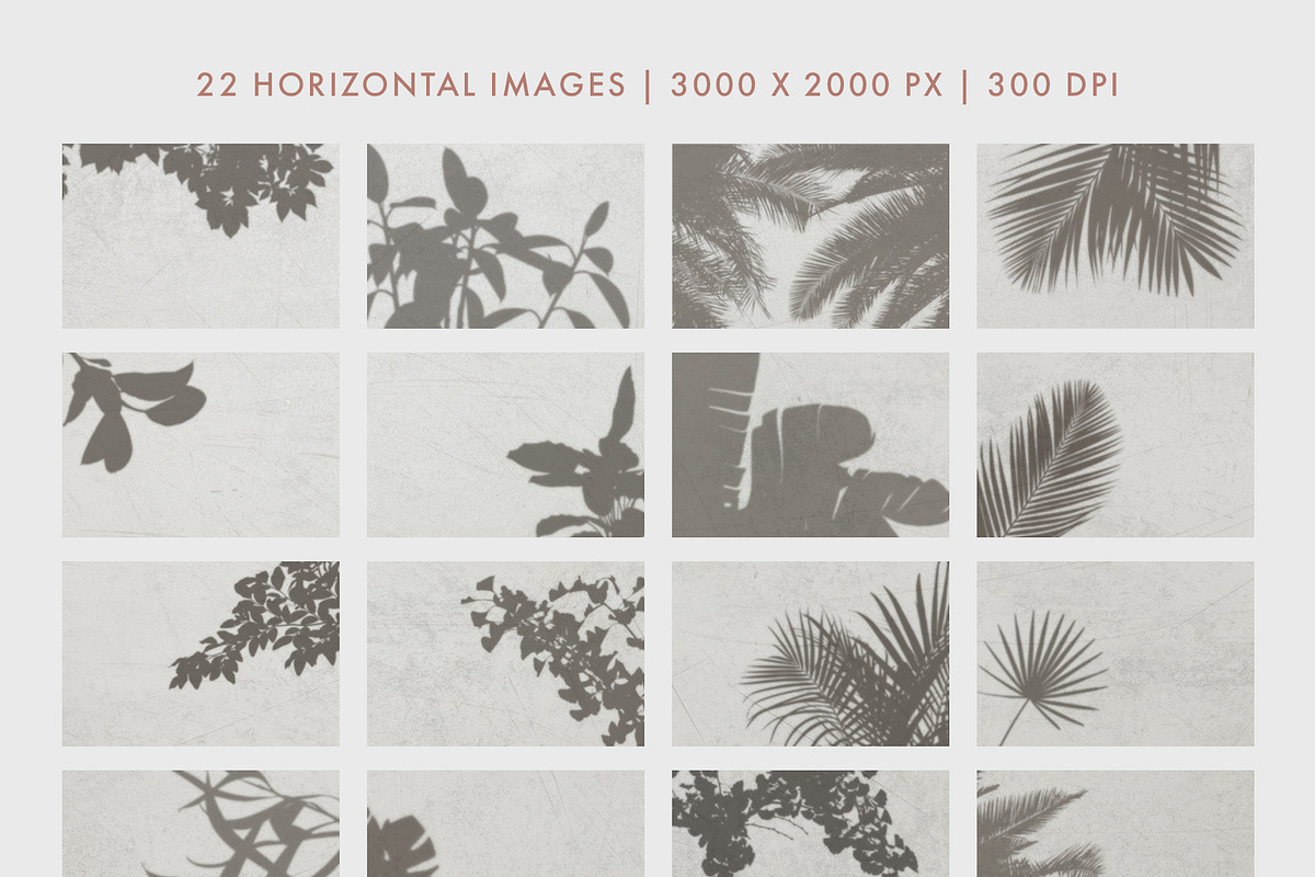 30 Botanical Shadow Overlays, a Mockup by Megs Lang (Photo 7 of 8)