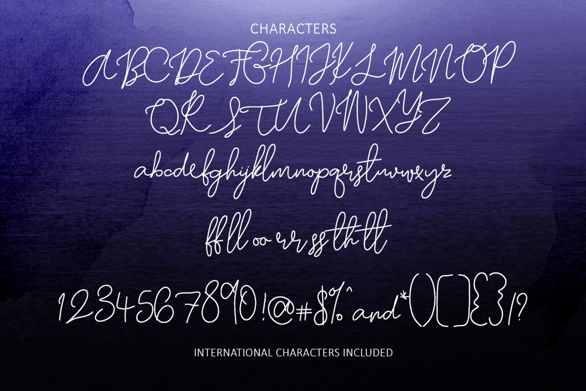 Moonlight Sailing Script Font preview 2