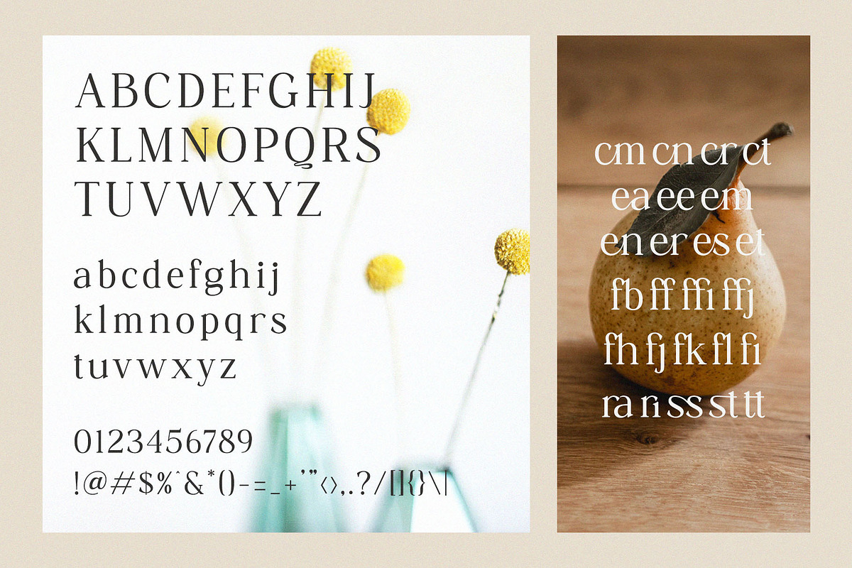 Grafies | Classy Ligature Serif, a Serif Font by BrandSemut (Photo 10 of 10)