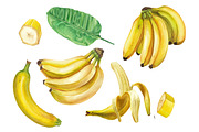 Watercolor banana set, a Pattern Graphic by lenavetka87 (Thumbnail 1 of 3)