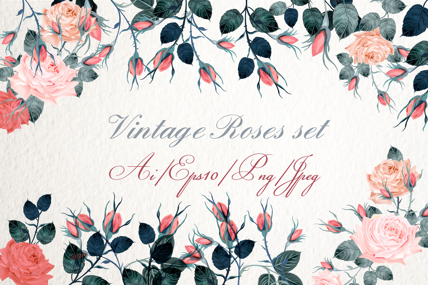 Collection of vintage vector roses, a Decorative Illustration by FleurArt