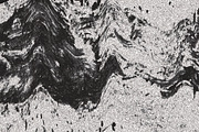 Twisted by Nature Vol 3, a Texture Graphic by Jennifer Lauren Creative (Thumbnail 3 of 16)