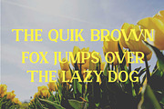 Veronika Display Font, a Serif Font by Cut Story (Thumbnail 4 of 14)