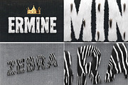 Fur Styles, Actions, Brushes, an Action Add-On by Sophico (Thumbnail 7 of 10)