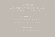Organic Hand - A Handmade Sans Serif, a Sans Serif Font by Vanem Studio (Thumbnail 5 of 8)