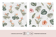 50% OFF! Tropical  jungle, a Pattern Graphic by Kotkoa (Thumbnail 5 of 11)