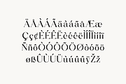 Angular Flow Serif Display Font, a Serif Font by UICreative (Thumbnail 7 of 13)