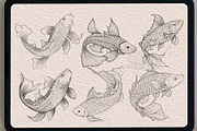63 koifish Coloring   brush stamp, a Brush Add-On by TaKong Magics (Thumbnail 4 of 4)