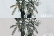 Mobile Lightroom Preset, an Action Add-On by The Red Pine (Thumbnail 4 of 7)