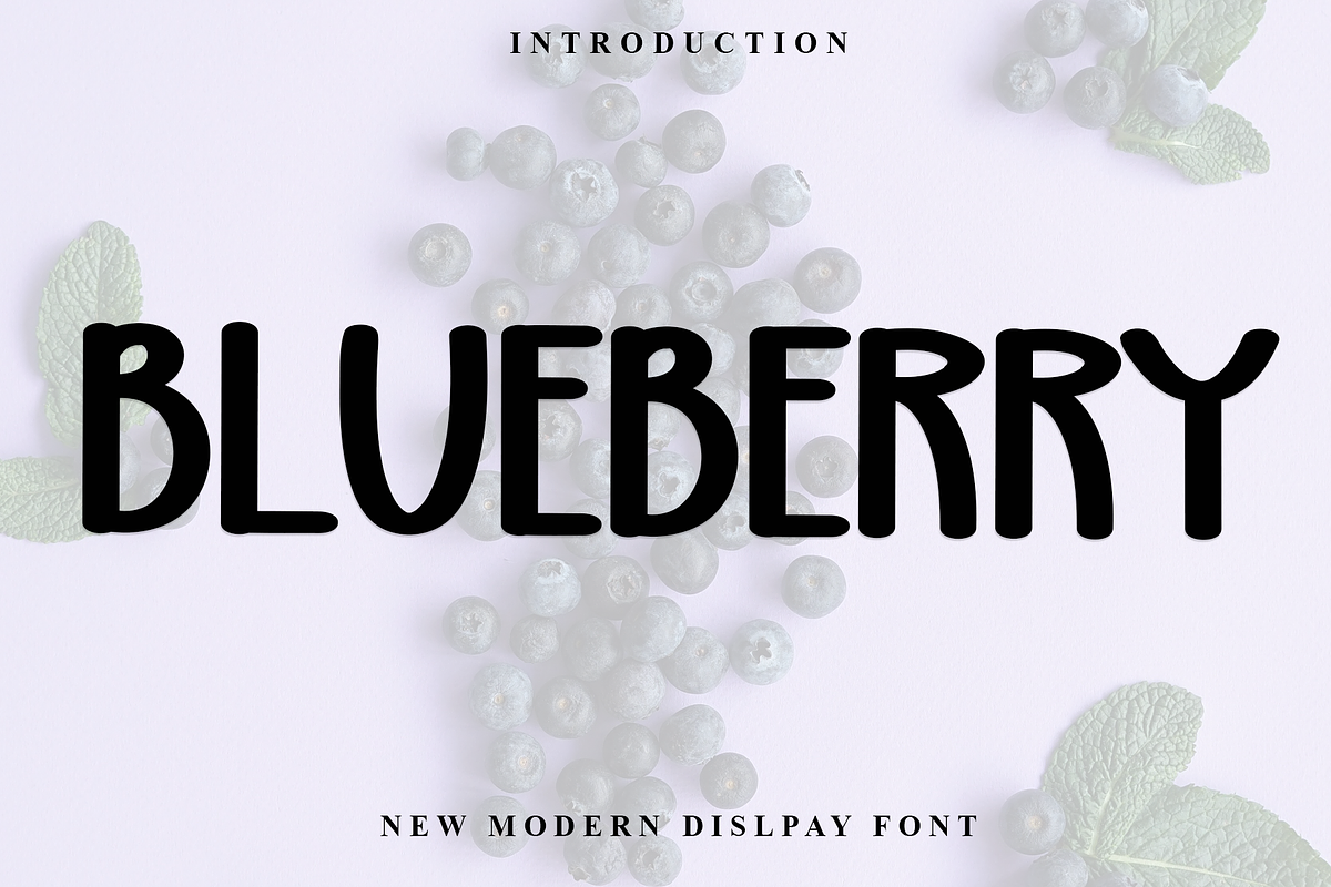 Blueberry, a Handwritten Font by FreshTypeINK (Photo 1 of 8)