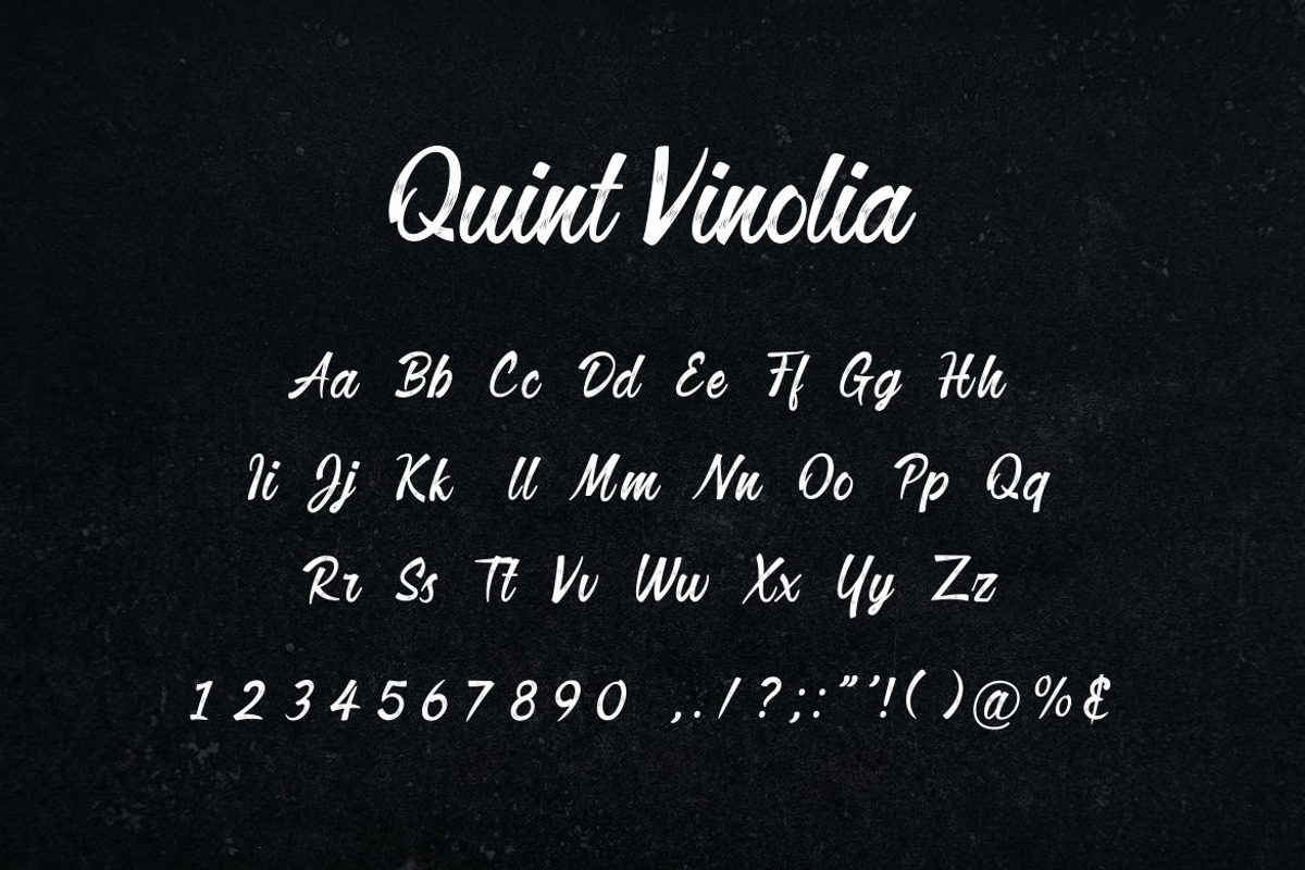 Quint Vinolia Calligraphy Font, a Handwritten Font by UICreative (Photo 5 of 5)