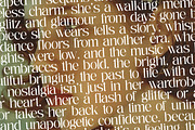 Nostalgic Flashy Modern Serif, a Serif Font by timelesstype.co (Thumbnail 9 of 20)