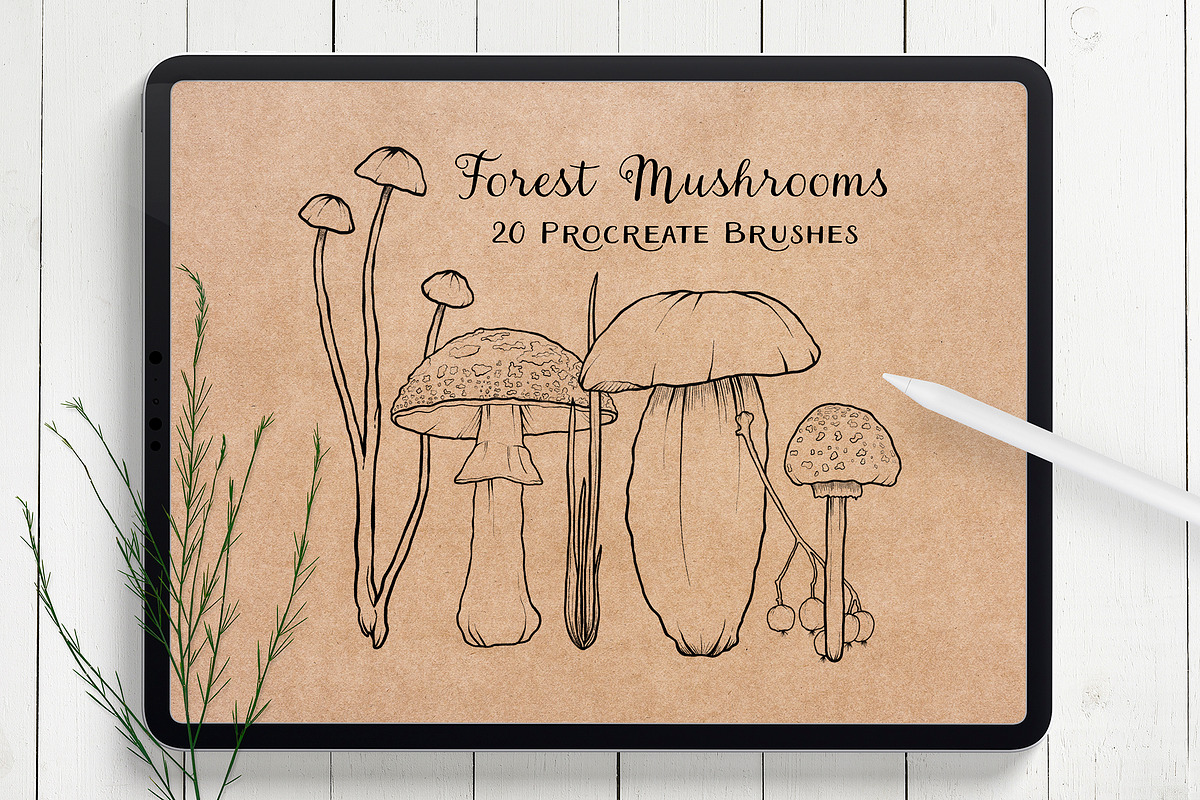 Mushroom Procreate Stamps: Line Art, a Brush Add-On by Little Nordic Atelier (Photo 1 of 4)