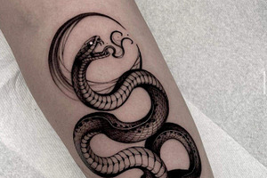 Procreate Snake Stencil Tattoo