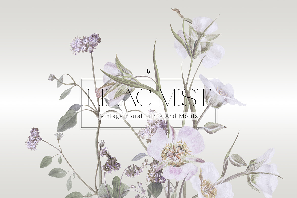 Vintage Botanical Patterns & Motifs, a Pattern Graphic by LEAFure (Photo 1 of 10)