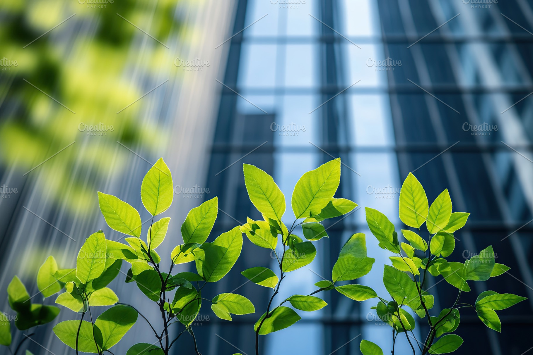 Tree branch with green leaves on business building background, a Nature Photo by AlyaAnd