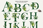 CANNABIS / MARIJUANA BUNDLE, a Decorative Illustration by Elena_Sedova (Thumbnail 10 of 30)