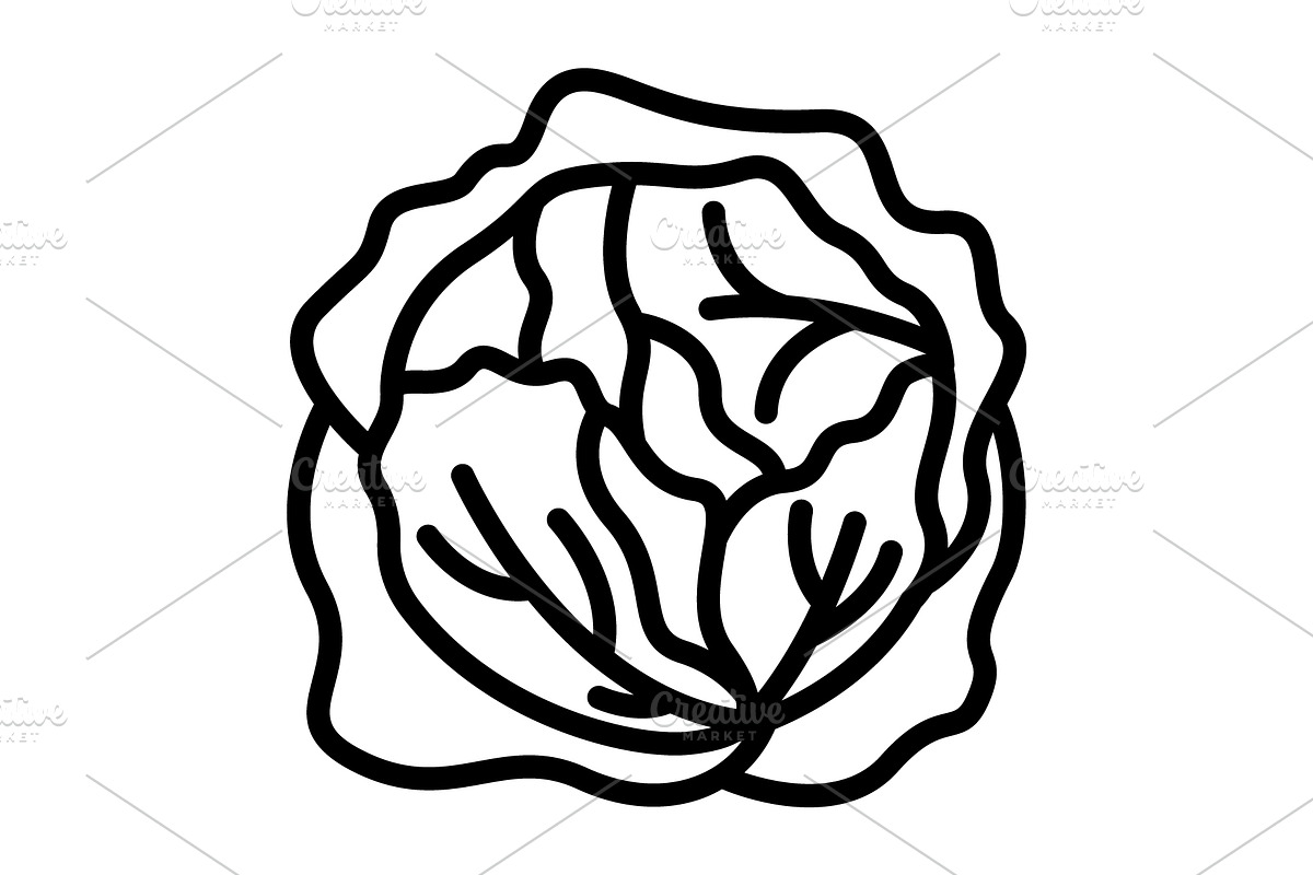 Cole cabbage black icon, an Outline Icon by Creative priyanka