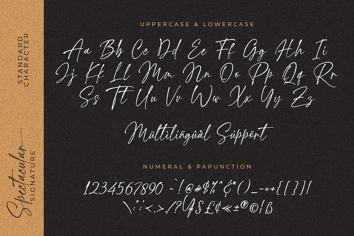 Spectacular Signature Font, a Script Font by Beautypes (Photo 7 of 8)