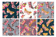 Night Moths, Butterflies Vector Set, a Graphic by Iraida_Bearlala (Thumbnail 3 of 5)
