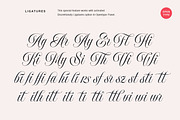 Delirian Script & Ornaments, a Script Font by Andrey Sharonov (Thumbnail 10 of 16)