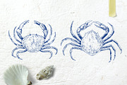 Coral gardens. Patterns collection, a Pattern Graphic by Robusta (Thumbnail 14 of 16)
